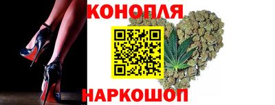 дмт Будённовск
