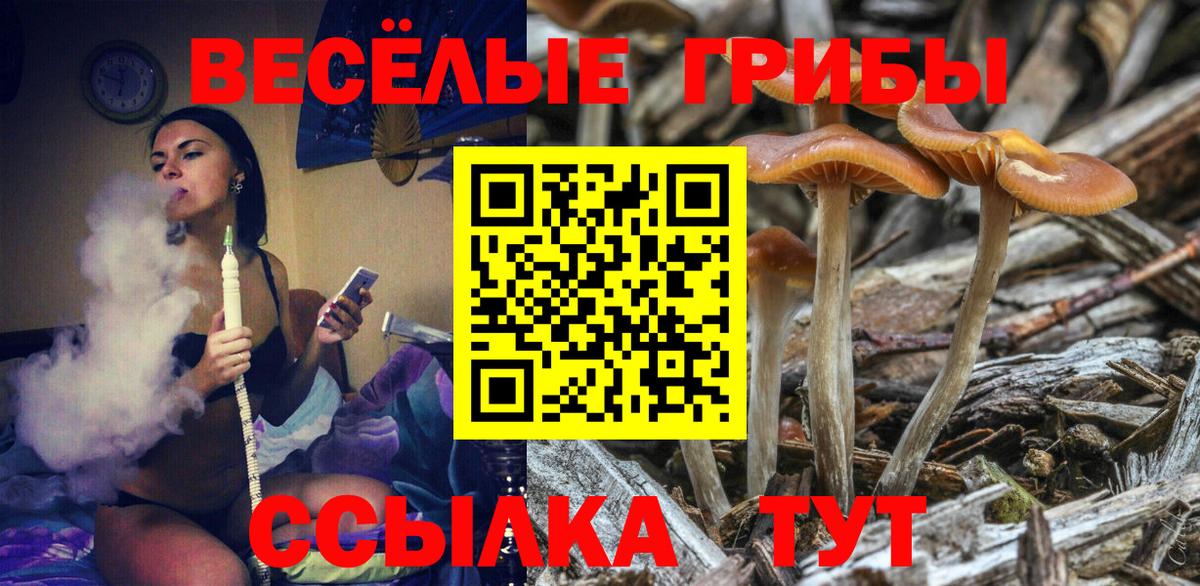 Галлюциногенные грибы GOLDEN TEACHER Павлово