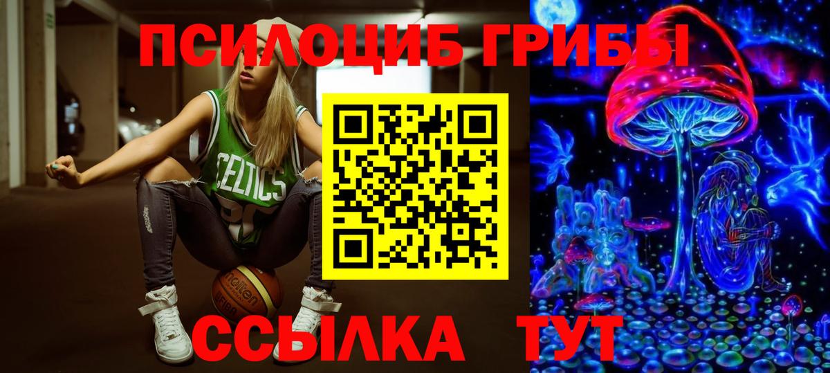 Галлюциногенные грибы MAGIC MUSHROOMS  где продают наркотики  Павлово  Вход с VPN 